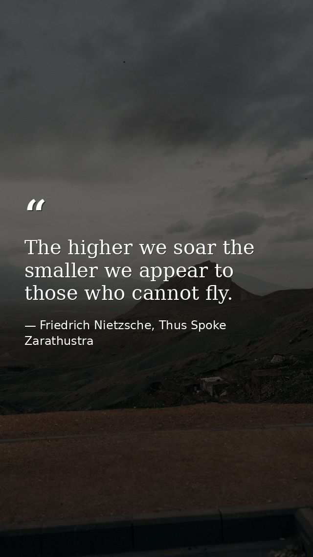 The higher we soar the smaller we appear to those who cannot fly. — Friedrich Nietzsche, Thus Spoke Zarathustra