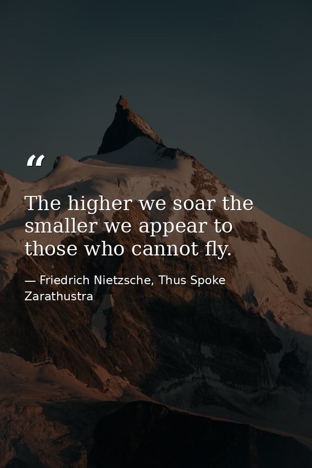 The higher we soar the smaller we appear to those who cannot fly. — Friedrich Nietzsche, Thus Spoke Zarathustra