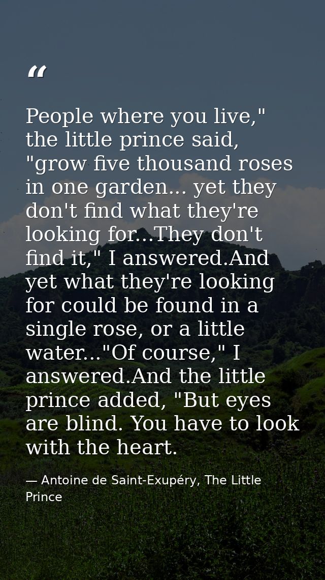 People where you live," the little prince said, "grow five thousand roses in one garden... yet they don't find what they — Antoine de Saint-Exupéry, The Little Prince