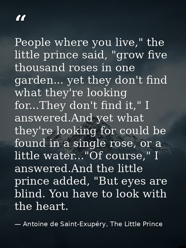 People where you live," the little prince said, "grow five thousand roses in one garden... yet they don't find what they — Antoine de Saint-Exupéry, The Little Prince
