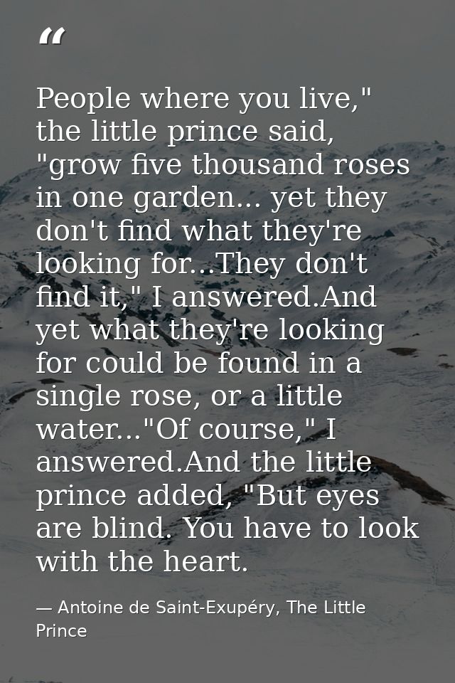 People where you live," the little prince said, "grow five thousand roses in one garden... yet they don't find what they — Antoine de Saint-Exupéry, The Little Prince