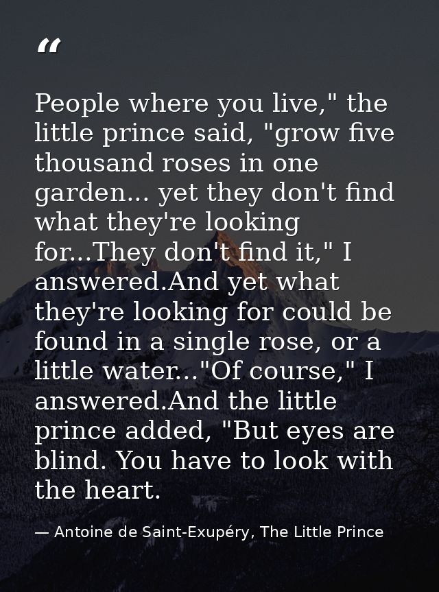 People where you live," the little prince said, "grow five thousand roses in one garden... yet they don't find what they — Antoine de Saint-Exupéry, The Little Prince