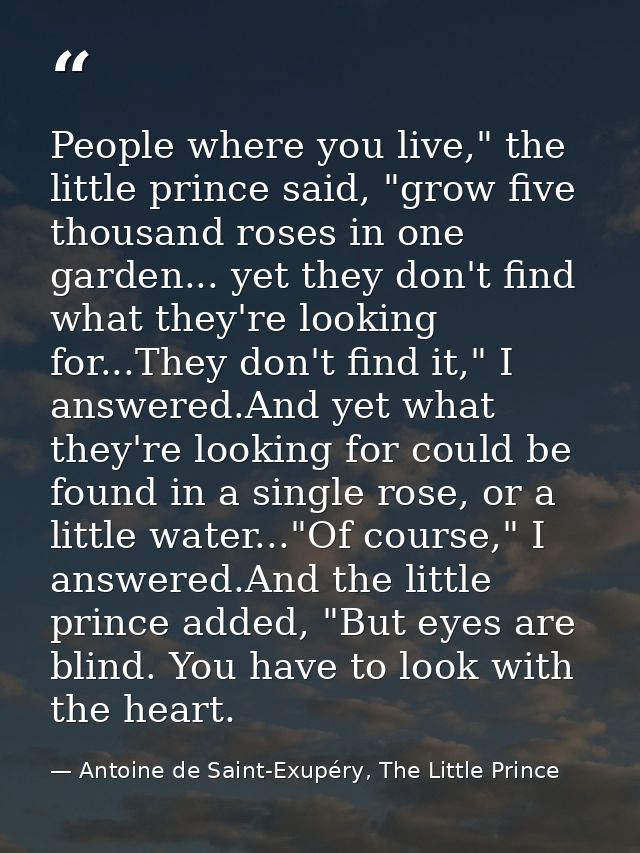 People where you live," the little prince said, "grow five thousand roses in one garden... yet they don't find what they — Antoine de Saint-Exupéry, The Little Prince