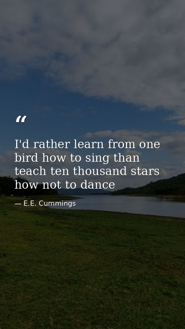 I'd rather learn from one bird how to sing than teach ten thousand stars how not to dance — E.E. Cummings