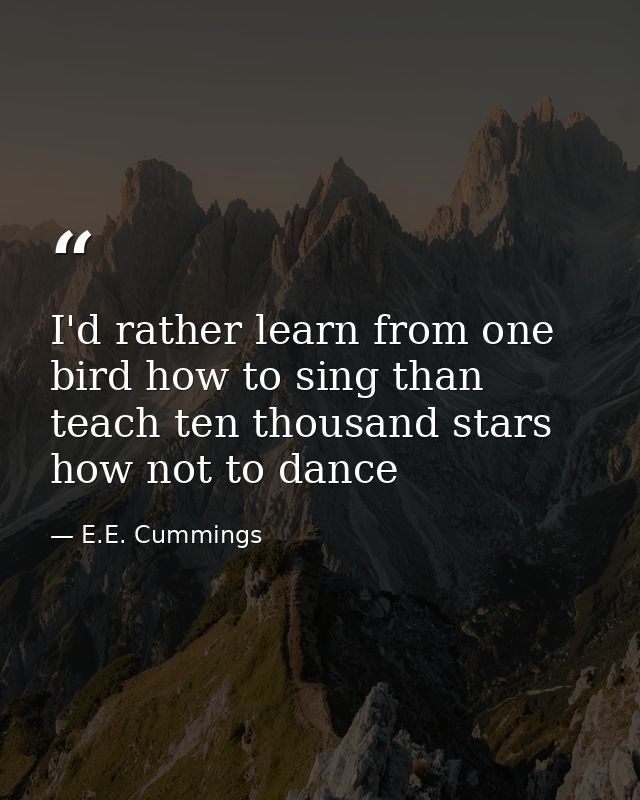 I'd rather learn from one bird how to sing than teach ten thousand stars how not to dance — E.E. Cummings