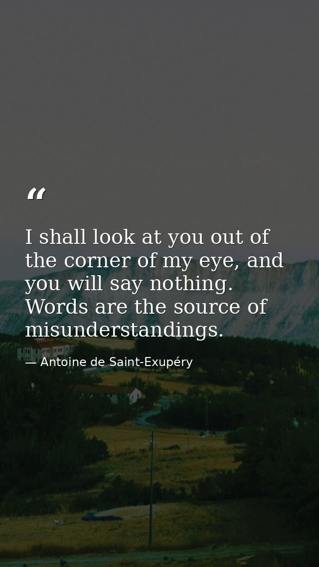 I shall look at you out of the corner of my eye, and you will say nothing. Words are the source of misunderstandings. — Antoine de Saint-Exupéry