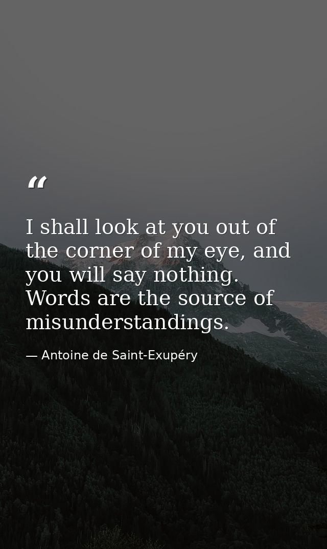 I shall look at you out of the corner of my eye, and you will say nothing. Words are the source of misunderstandings. — Antoine de Saint-Exupéry