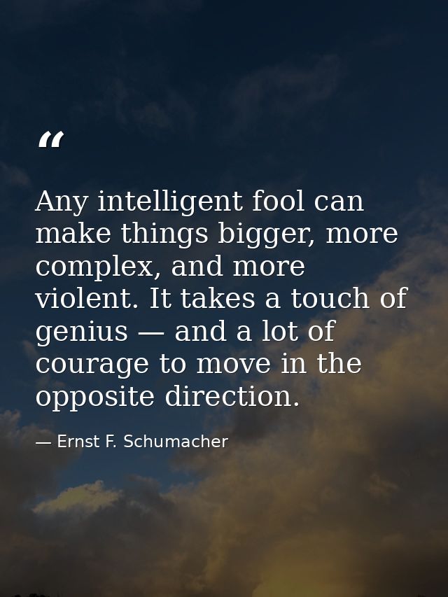Any intelligent fool can make things bigger, more complex, and more violent. It takes a touch of genius — and a lot of c — Ernst F. Schumacher