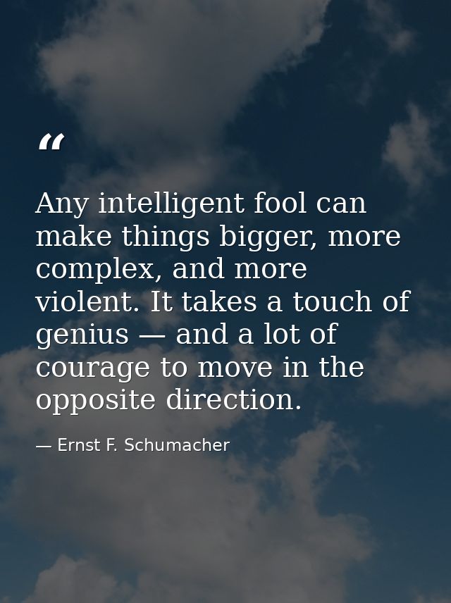 Any intelligent fool can make things bigger, more complex, and more violent. It takes a touch of genius — and a lot of c — Ernst F. Schumacher