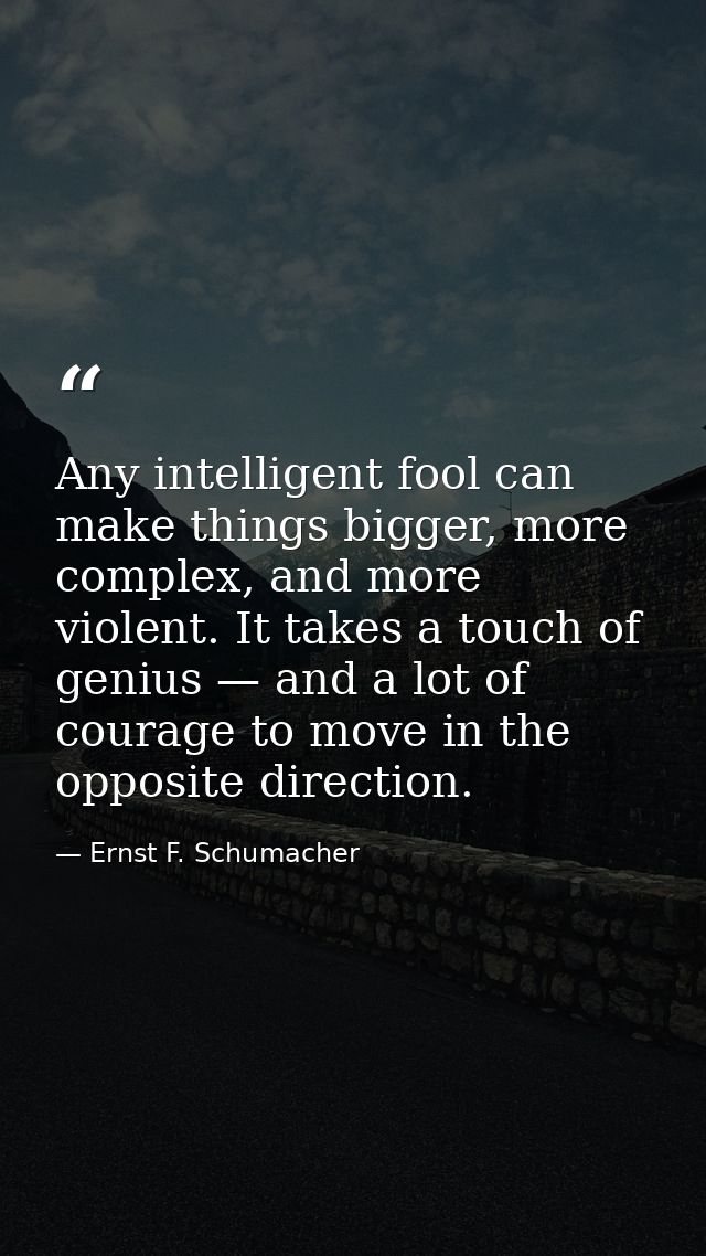 Any intelligent fool can make things bigger, more complex, and more violent. It takes a touch of genius — and a lot of c — Ernst F. Schumacher