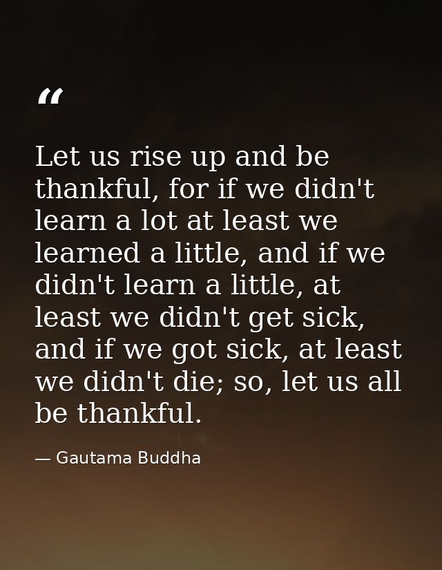 Let us rise up and be thankful, for if we didn't learn a lot at least we learned a little, and if we didn't learn a litt — Gautama Buddha