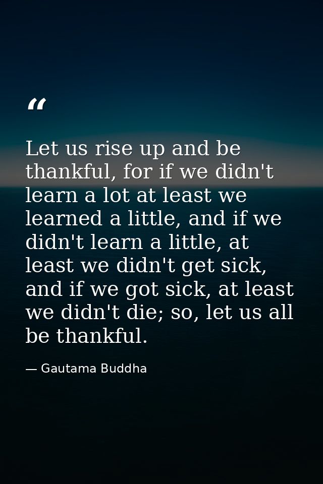 Let us rise up and be thankful, for if we didn't learn a lot at least we learned a little, and if we didn't learn a litt — Gautama Buddha