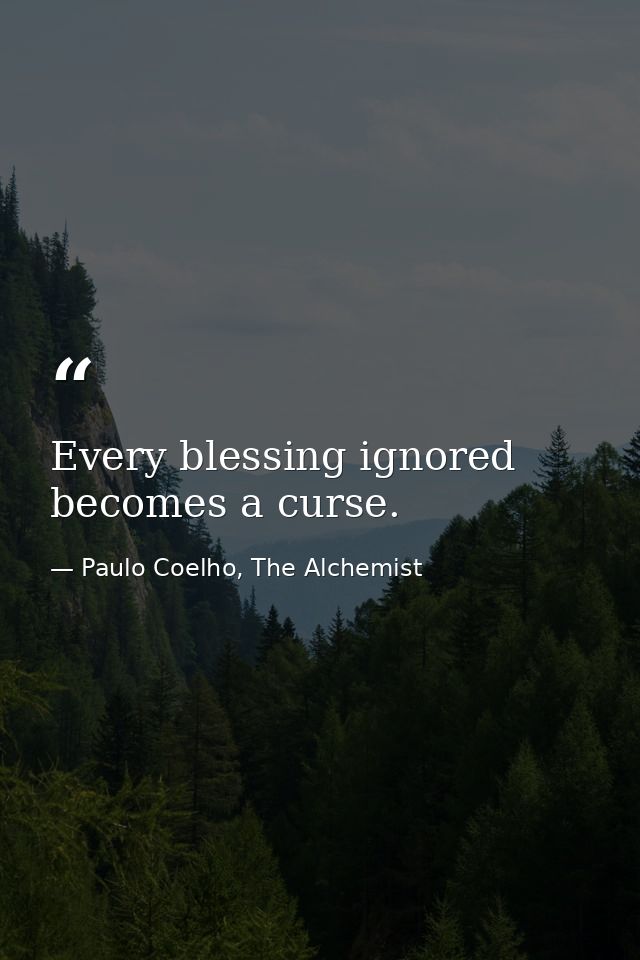 Every blessing ignored becomes a curse. — Paulo Coelho, The Alchemist