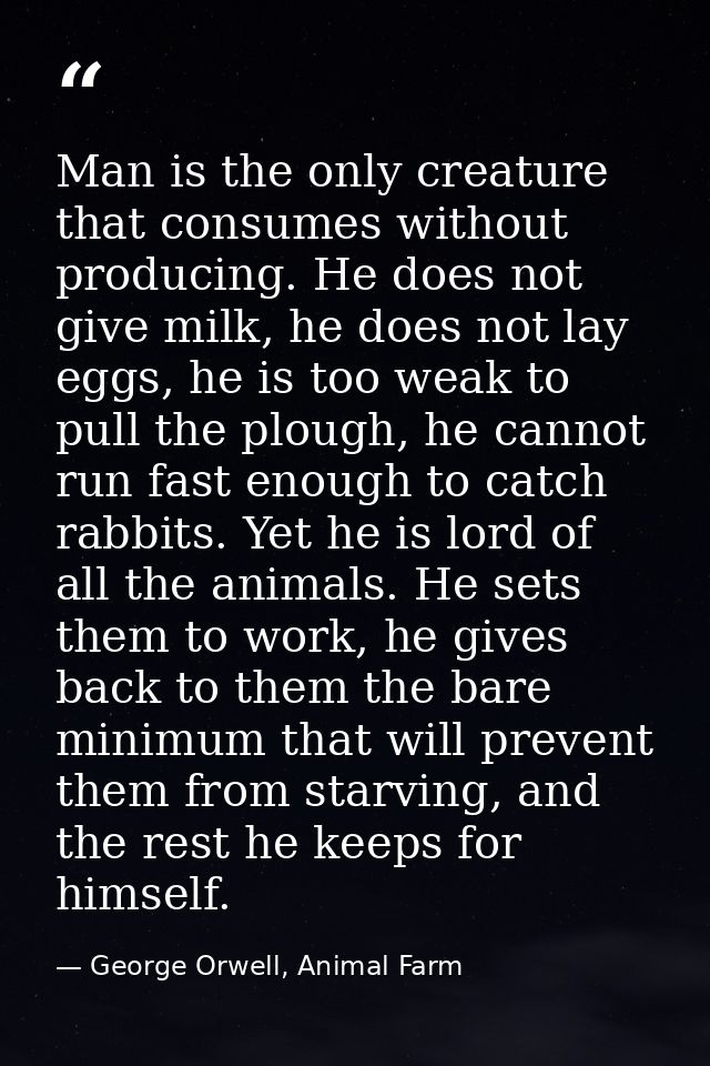 Man is the only creature that consumes without producing. He does not give milk, he does not lay eggs, he is too weak to — George Orwell, Animal Farm