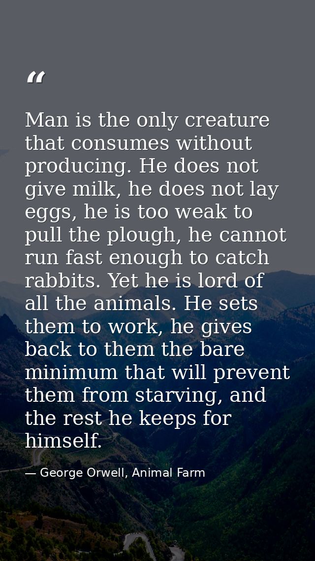 Man is the only creature that consumes without producing. He does not give milk, he does not lay eggs, he is too weak to — George Orwell, Animal Farm