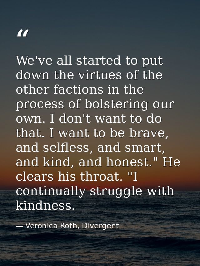 We've all started to put down the virtues of the other factions in the process of bolstering our own. I don't want to do — Veronica Roth, Divergent