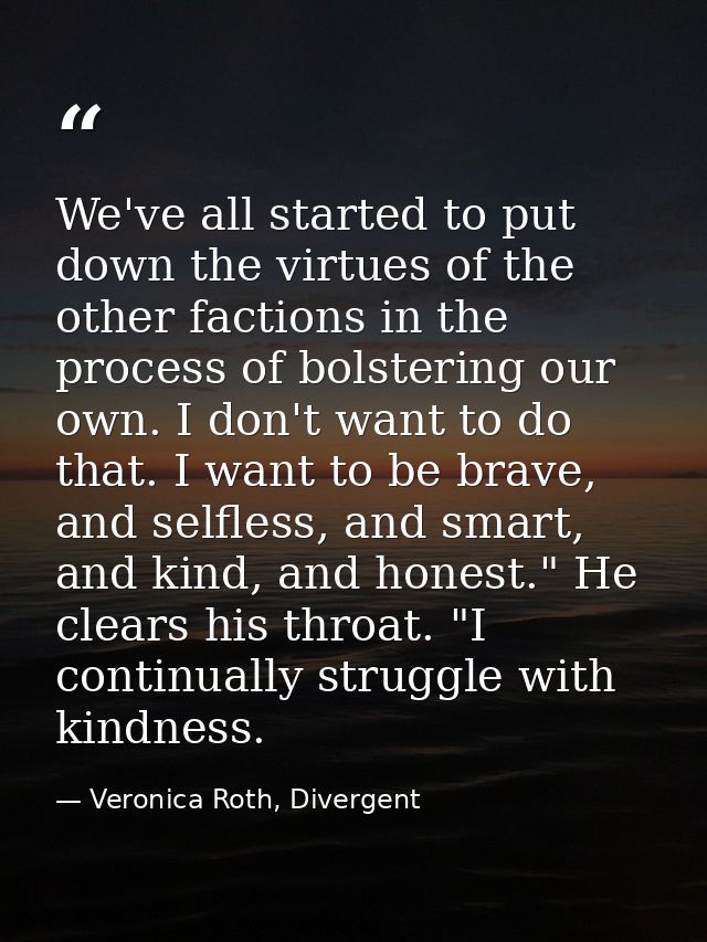 We've all started to put down the virtues of the other factions in the process of bolstering our own. I don't want to do — Veronica Roth, Divergent