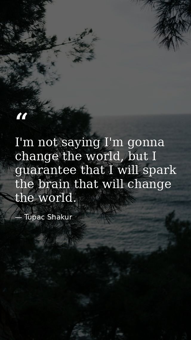 I'm not saying I'm gonna change the world, but I guarantee that I will spark the brain that will change the world. — Tupac Shakur