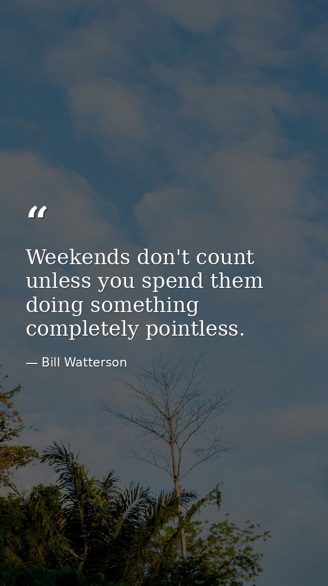 Weekends don't count unless you spend them doing something completely pointless. — Bill Watterson