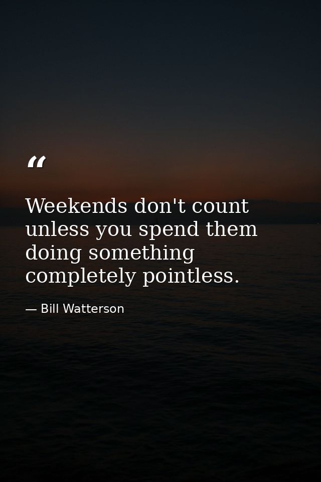 Weekends don't count unless you spend them doing something completely pointless. — Bill Watterson