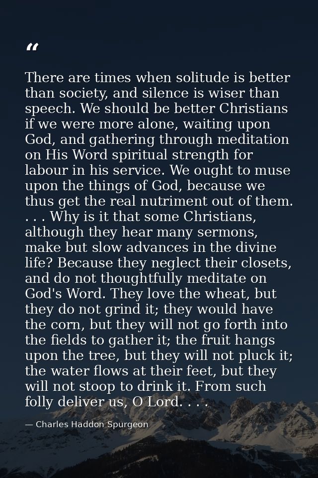 There are times when solitude is better than society, and silence is wiser than speech. We should be better Christians i — Charles Haddon Spurgeon