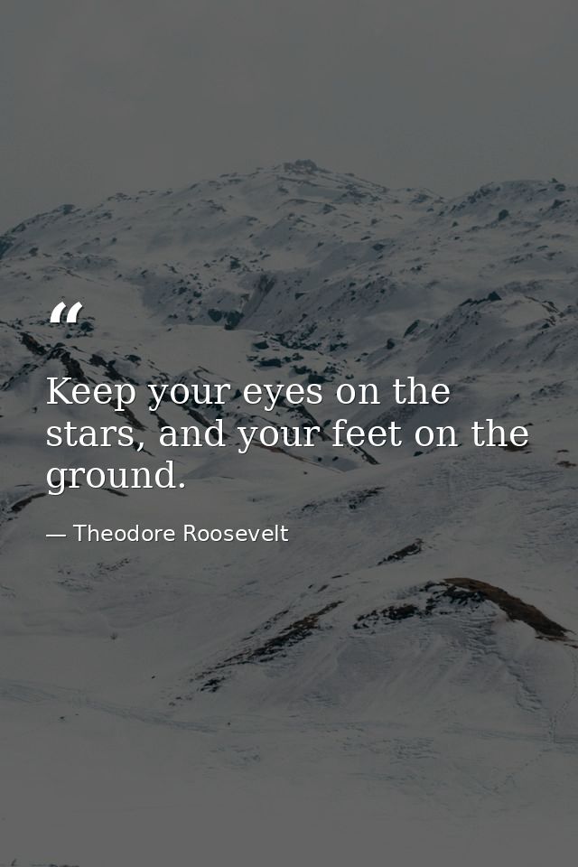 Keep your eyes on the stars, and your feet on the ground. — Theodore Roosevelt