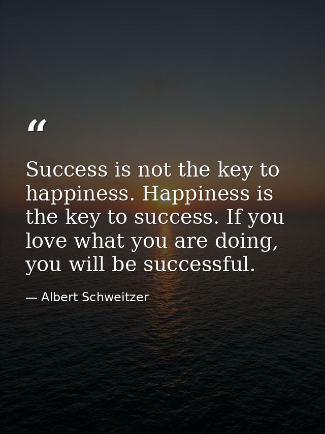 Success is not the key to happiness. Happiness is the key to success. If you love what you are doing, you will be succes — Albert Schweitzer