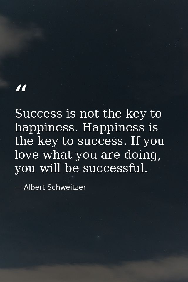 Success is not the key to happiness. Happiness is the key to success. If you love what you are doing, you will be succes — Albert Schweitzer