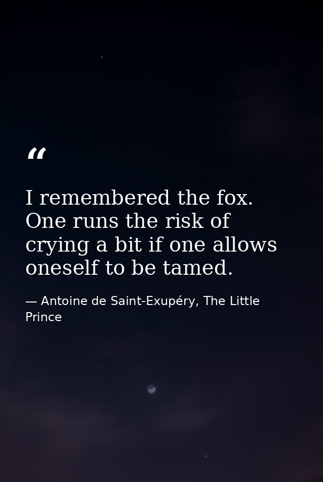 I remembered the fox. One runs the risk of crying a bit if one allows oneself to be tamed. — Antoine de Saint-Exupéry, The Little Prince