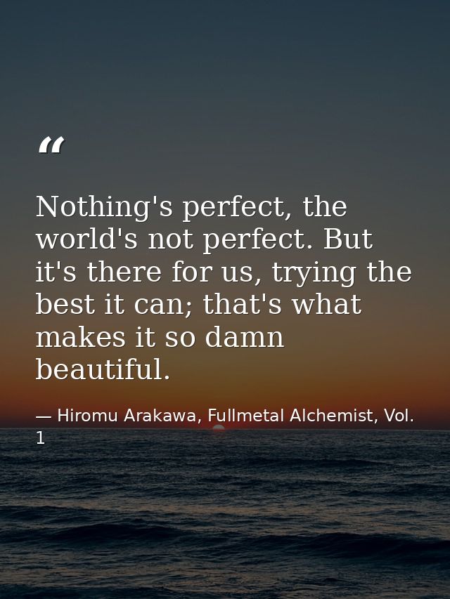 Nothing's perfect, the world's not perfect. But it's there for us, trying the best it can; that's what makes it so damn  — Hiromu Arakawa, Fullmetal Alchemist, Vol. 1