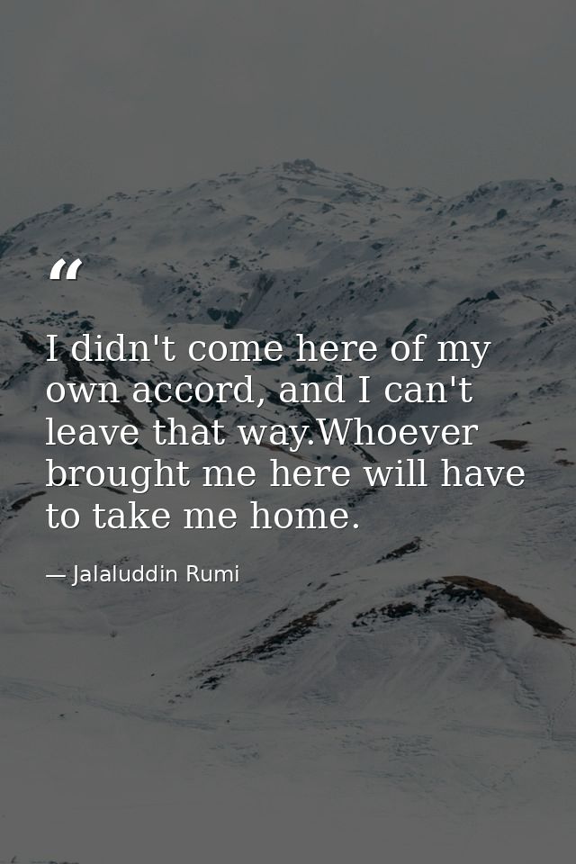 I didn't come here of my own accord, and I can't leave that way.Whoever brought me here will have to take me home. — Jalaluddin Rumi
