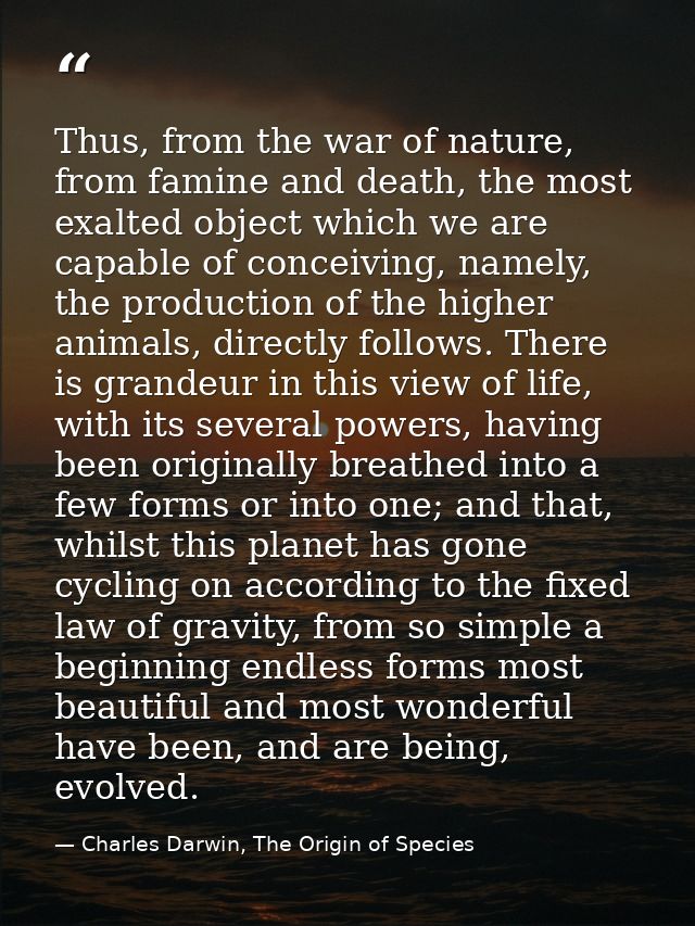 Thus, from the war of nature, from famine and death, the most exalted object which we are capable of conceiving, namely, — Charles Darwin, The Origin of Species