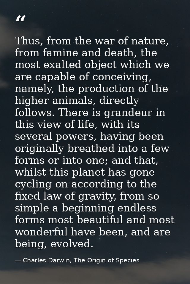Thus, from the war of nature, from famine and death, the most exalted object which we are capable of conceiving, namely, — Charles Darwin, The Origin of Species