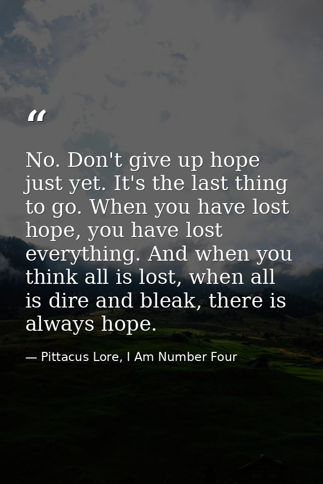 No. Don't give up hope just yet. It's the last thing to go. When you have lost hope, you have lost everything. And when  — Pittacus Lore, I Am Number Four