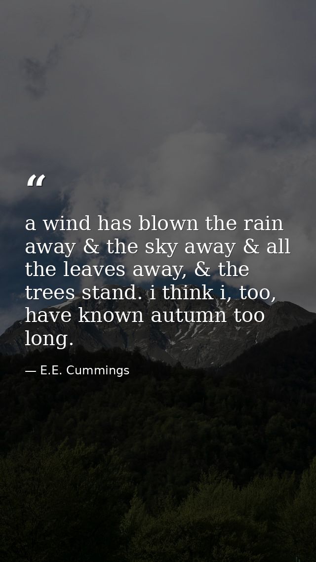 a wind has blown the rain away & the sky away & all the leaves away, & the trees stand. i think i, too, have known autum — E.E. Cummings