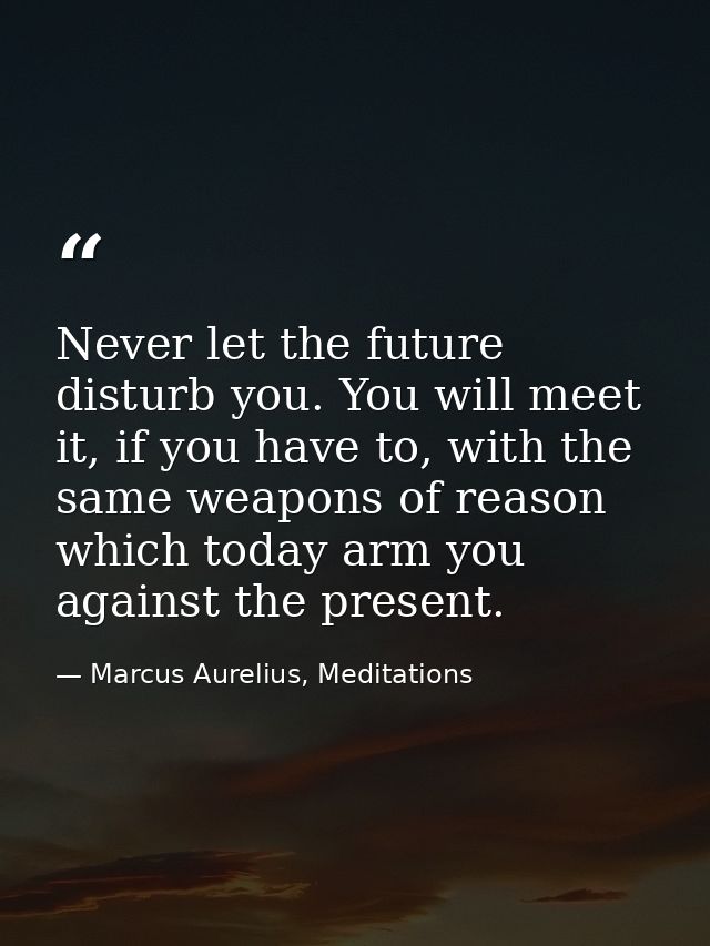 Never let the future disturb you. You will meet it, if you have to, with the same weapons of reason which today arm you  — Marcus Aurelius, Meditations