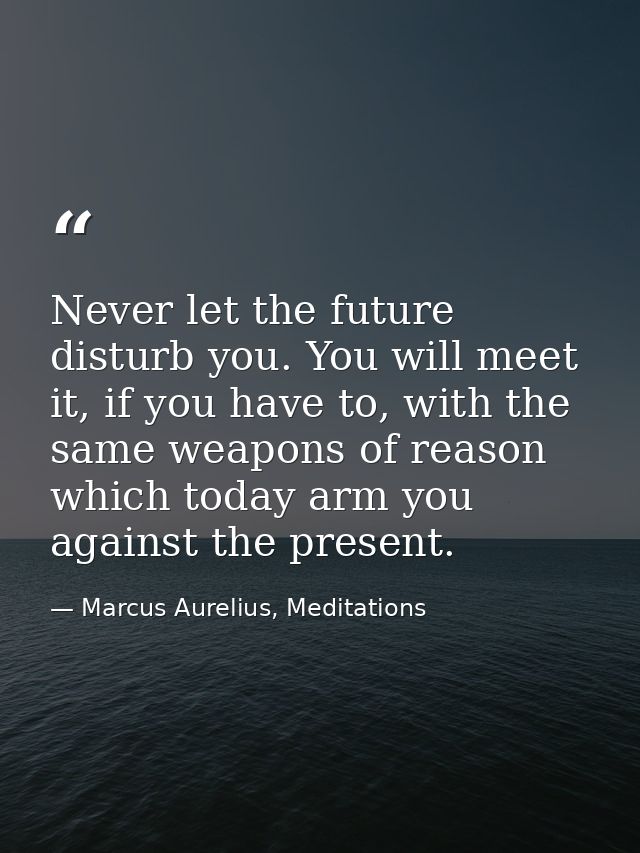 Never let the future disturb you. You will meet it, if you have to, with the same weapons of reason which today arm you  — Marcus Aurelius, Meditations