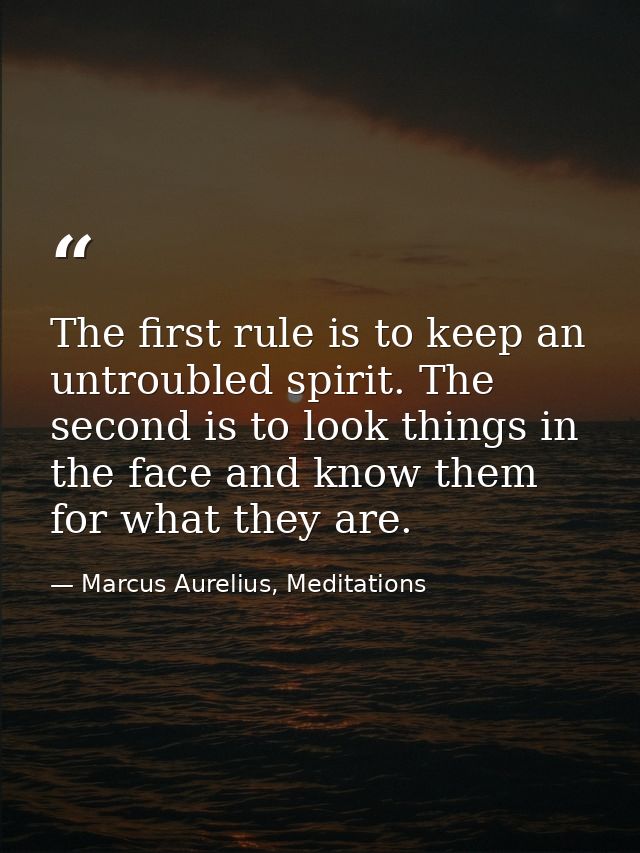 The first rule is to keep an untroubled spirit. The second is to look things in the face and know them for what they are — Marcus Aurelius, Meditations