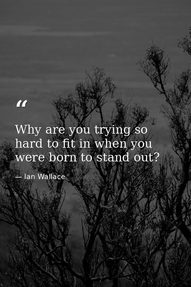 Why are you trying so hard to fit in when you were born to stand out? — Ian Wallace