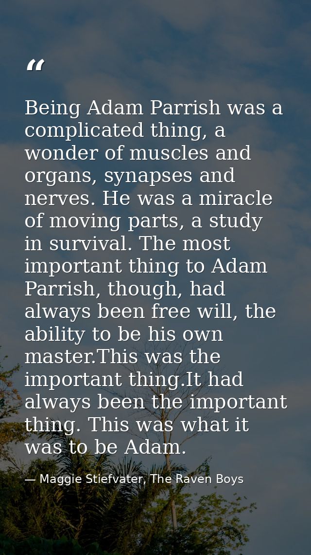 Being Adam Parrish was a complicated thing, a wonder of muscles and organs, synapses and nerves. He was a miracle of mov — Maggie Stiefvater, The Raven Boys