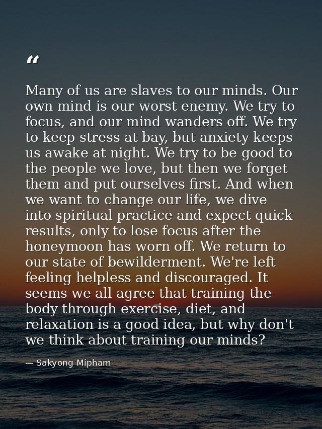 Many of us are slaves to our minds. Our own mind is our worst enemy. We try to focus, and our mind wanders off. We try t — Sakyong Mipham