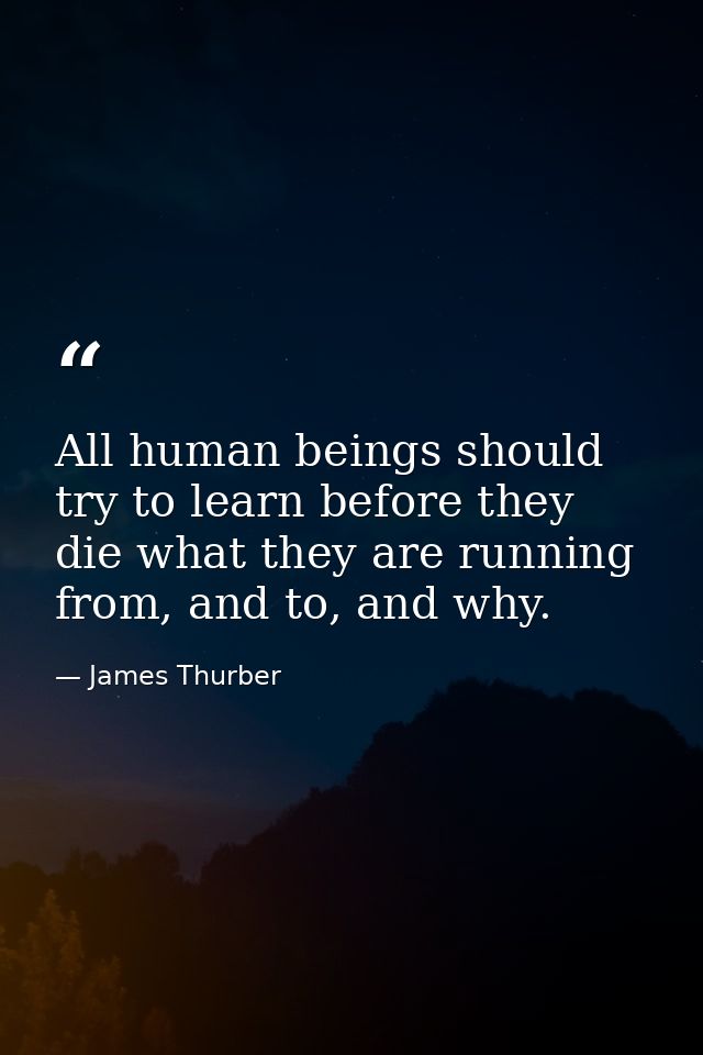 All human beings should try to learn before they die what they are running from, and to, and why. — James Thurber