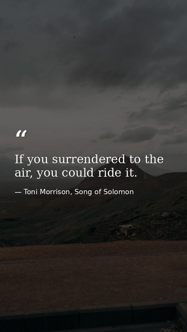If you surrendered to the air, you could ride it. — Toni Morrison, Song of Solomon