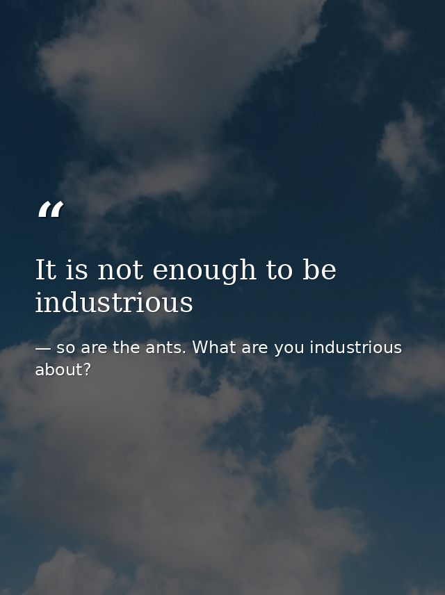 It is not enough to be industrious — so are the ants. What are you industrious about?