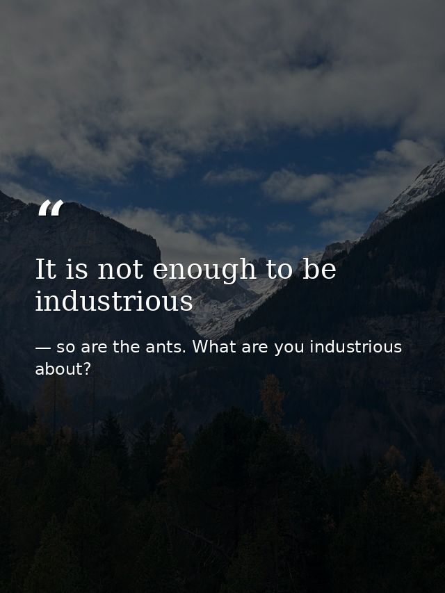 It is not enough to be industrious — so are the ants. What are you industrious about?