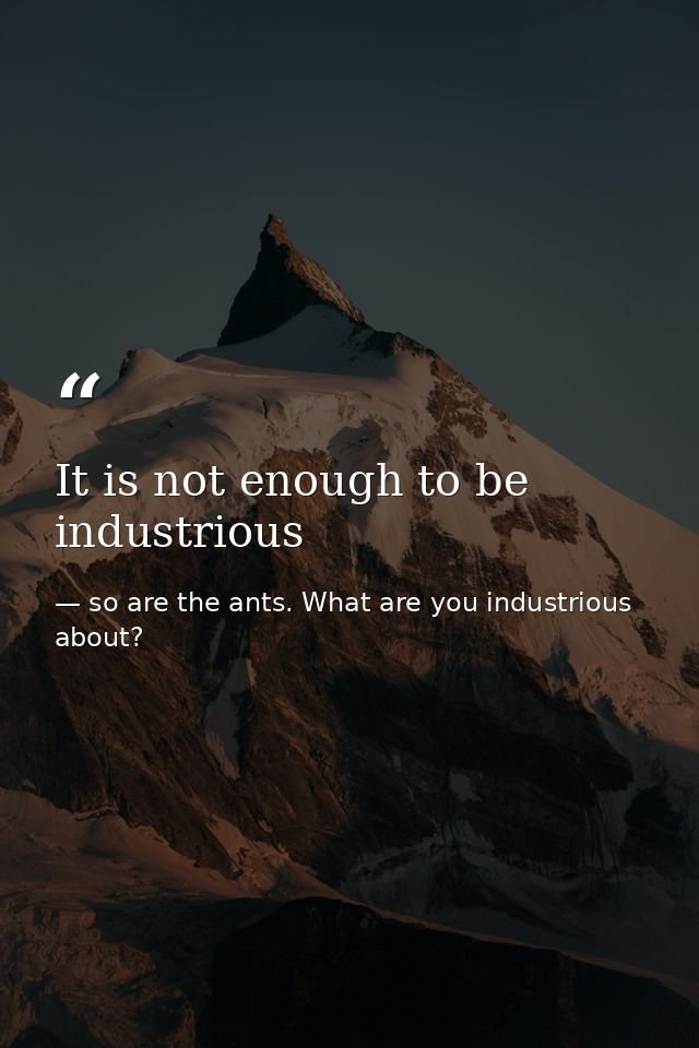 It is not enough to be industrious — so are the ants. What are you industrious about?