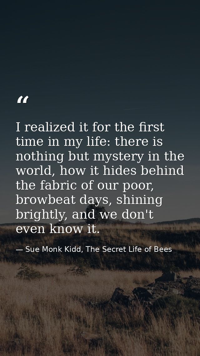 I realized it for the first time in my life: there is nothing but mystery in the world, how it hides behind the fabric o — Sue Monk Kidd, The Secret Life of Bees