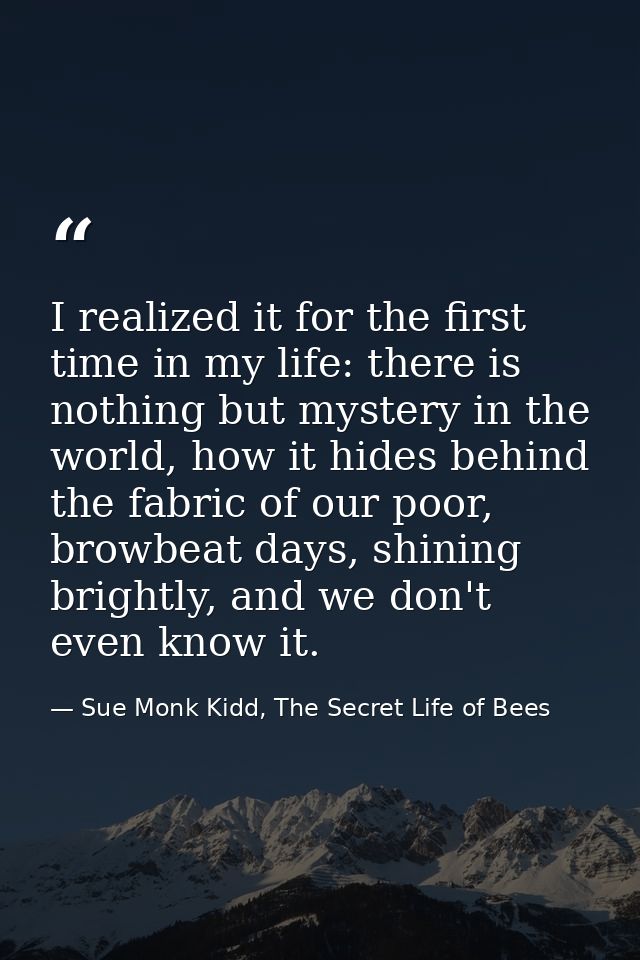 I realized it for the first time in my life: there is nothing but mystery in the world, how it hides behind the fabric o — Sue Monk Kidd, The Secret Life of Bees