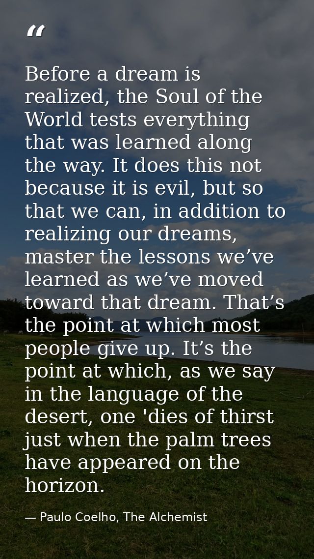 Before a dream is realized, the Soul of the World tests everything that was learned along the way. It does this not beca — Paulo Coelho, The Alchemist