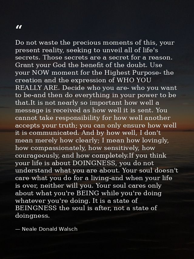 Do not waste the precious moments of this, your present reality, seeking to unveil all of life's secrets. Those secrets  — Neale Donald Walsch